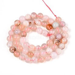 Натуральные вишневые агатовые бусины G-K310-C07-6mm