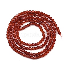 Природные пряди сердолик бисера&nbsp;G-K146-03-2mm