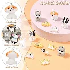 Подвески из непрозрачной смолы с героями мультфильмов&nbsp;RESI-YW0003-18