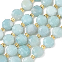 Натуральный цветок амазонитовые бусины пряди&nbsp;G-C116-A183-02