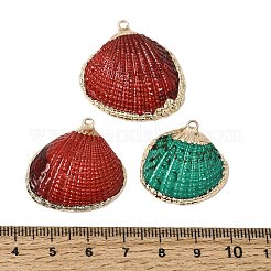 真鍮とスプレー塗装された天然貝殻のペンダント  貝殻の形のチャーム  金メッキエッジ付き  ミックスカラー  24.5~27x27~28x6~7mm  穴：1.8mm&nbsp;SH-CBA27C9-04