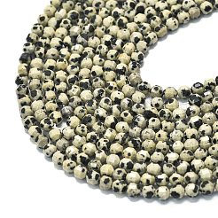 Природные яшмы далматин бисер нитей G-A260-A10-01