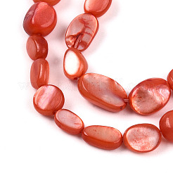 Нити бусин из натуральной белой ракушки SHEL-N036-21F