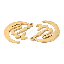 Pendentifs en acier inoxydable 304&nbsp;STAS-Z041-35G