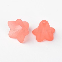 Perles en acrylique transparente&nbsp;FACR-WH0004-01