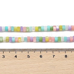 Нити бусин из натуральных трохоидных/трохус ракушек BSHE-H018-04