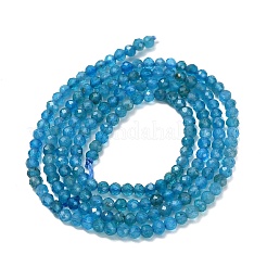 Природного апатита нитей бисера G-Z106-A01-2mm