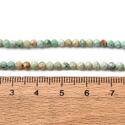 Бусы натуральная перуанская бирюза (яшма) G-A276-C13-3mm