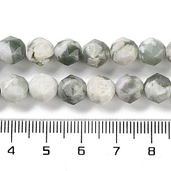 Natürliche Frieden Jade Perlen Stränge&nbsp;G-NH0021-A08-01