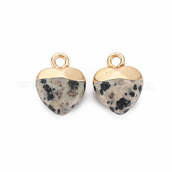Breloques en jaspe dalmatien naturel&nbsp;LS-G-N326-121-01