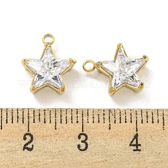 Подвески из нержавеющей стали 304 с кубическим цирконием&nbsp;STAS-L278-008G