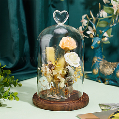 Стеклянный купол&nbsp;AJEW-WH0083-28A