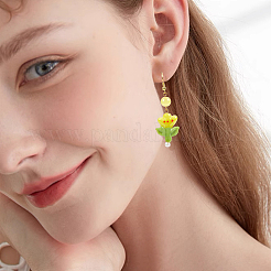 12шт ручной работы бусины лэмпворк LAMP-PA0001-01