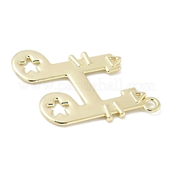 Aluminium Anhänger & Charms&nbsp;FIND-L025-09G