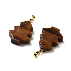 Pendentifs en œil de tigre naturel&nbsp;G-A203-01G