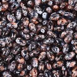 Спрей роспись стекла бисер SEED-T007-14J