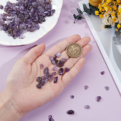 2 нити бусин из натурального аметиста&nbsp;G-PA0001-57