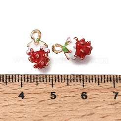 Emaille Anhänger Legierung&nbsp;AL-CBA4F42-01G