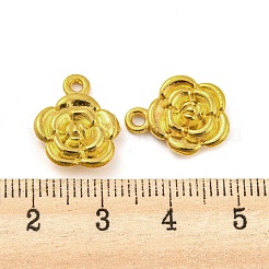 Pendentifs en alliage&nbsp;FIND-G065-15G