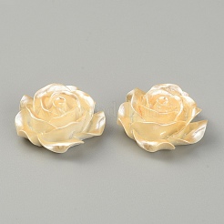 Cabochons di opaco resina&nbsp;CRES-WH0010-032D-01