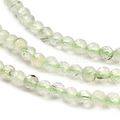 Природные пренит нитей бисера G-RM2025-34-2.5mm