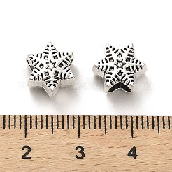 Европейские сплавочные бусины тибетского стиля  PALLOY-K019-03H-AS