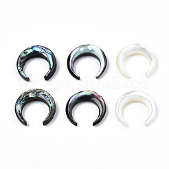 Наборы бусин из натуральных ракушек SSHEL-N034-122A