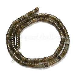 Природные лабрадорита бисер нитей G-Z110-A32-2x4mm