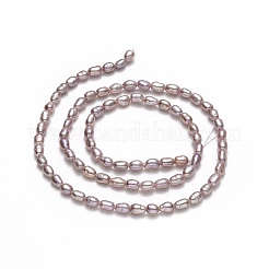 Нити из натурального культивированного пресноводного жемчуга PEAR-J006-03B
