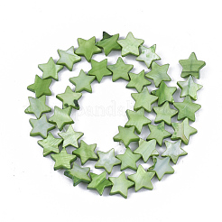 淡水シェルビーズ連売り  染め  スター  ライムグリーン  12x12.5x3mm  穴：1mm  約35個/連  15.55インチ（39.5cm）&nbsp;X-SHEL-S276-31C