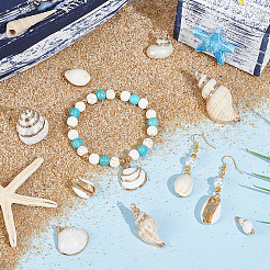 16 шт. 8 стиля подвески в форме ракушек с гальваническим покрытием&nbsp;SHEL-SC0001-55