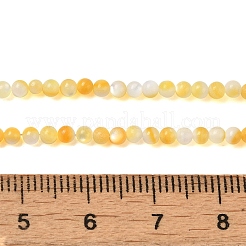 Нити бусин из натуральной желтой ракушки SHEL-M021-03A
