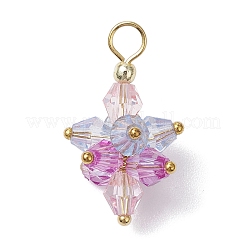 5шт. подвески-цветы из акрила PALLOY-JF03056