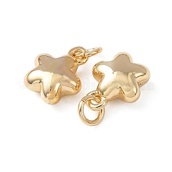 Латунные подвески&nbsp;KK-C143-20G