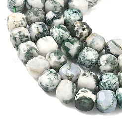 Натурального дерева агат бисер нитей&nbsp;G-C267-A18