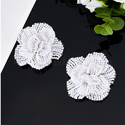 2 шт. железные и абс искусственные жемчужные пряжки для обуви&nbsp;DIY-FH0008-23