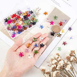 90шт 15 цвета граненые стеклянные подвески&nbsp;GLAA-PH0008-26