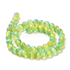 Hebras de cuentas de selenita natural&nbsp;G-P493-01O