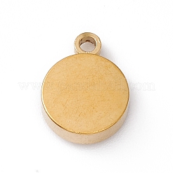 Anhänger aus Edelstahl 304&nbsp;STAS-P310-23G-04