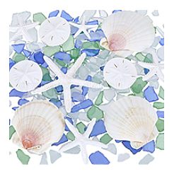 Decorazioni in resina per esposizione di organismi marini&nbsp;AJEW-PH0008-27