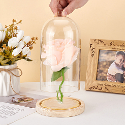 Couvercle de dôme en verre&nbsp;AJEW-WH0348-293G