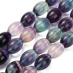 Природного флюорита бисер нитей G-L634-H01-14x10mm