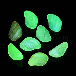 Прозрачные акриловые бусины&nbsp;OACR-Z013-16