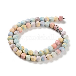 Fili di perline lanterna in agata naturale arcobaleno alashan&nbsp;G-NH0022-B01-01