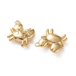 Подвески из морской латуни&nbsp;KK-L266-02E-G