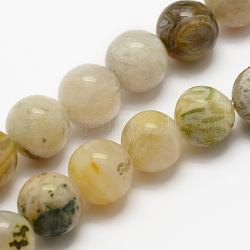 Natürliche Bambus-Blatt-Achat Perlen Stränge, Runde, 8 mm, Bohrung: 1 mm, ca. 48 Stk. / Strang, 15.3 Zoll (39 cm)