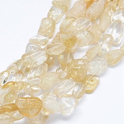Natürlichen Citrin Perlen Stränge, getrommelt Stein, Nuggets, 12~23x6~15 mm, Bohrung: 1.2 mm, 15.7 Zoll (40 cm)