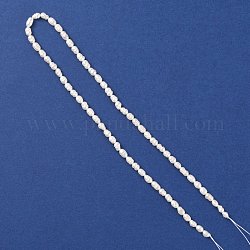 Natural Freshwate Pearl Beads Strands, Rice, Seashell Color, 5~6x3~4mm, Hole: 0.8mm, about 65pcs/strand, 14.17''(36cm)