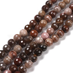 Chapelets de perles en bois pétrifié naturel, facetté (128 facettes), ronde, 8.5mm, Trou: 1.2mm, Environ 45 pcs/chapelet, 14.76'' (37.5 cm)