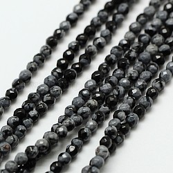 Flocon de neige naturelle chapelets de perles en obsidienne, ronde à facettes, 3mm, Trou: 0.8mm, Environ 136 pcs/chapelet, 16 pouce
